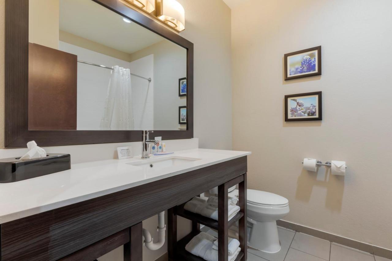Comfort Inn & Suites Balch Springs - Se Dallas Zewnętrze zdjęcie