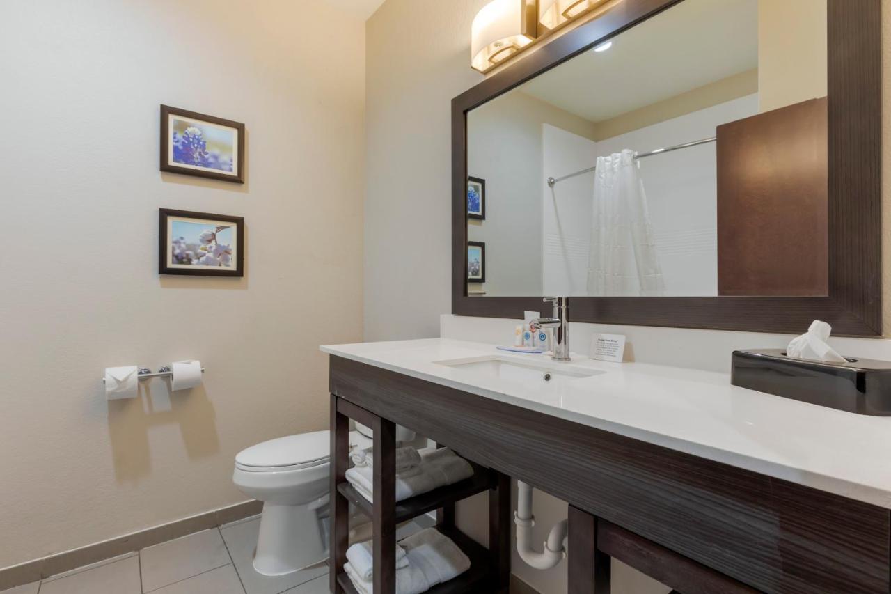 Comfort Inn & Suites Balch Springs - Se Dallas Zewnętrze zdjęcie